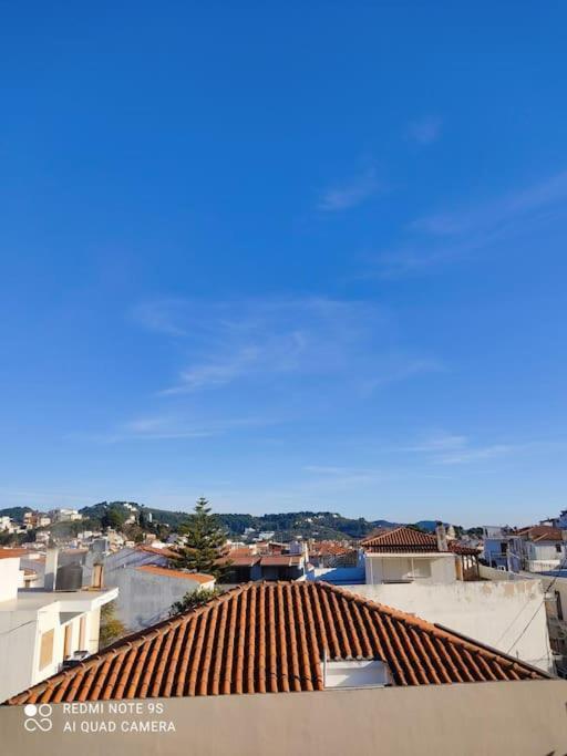 Bozikis House! A Cosy Apartment In The City Centre Skiathos Town Bagian luar foto